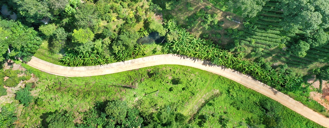 Aerial image about a road crossing fields